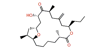 Amphidinolide T5